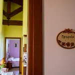 L'olmo Di Casigliano