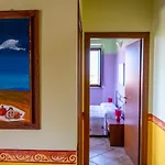 L'olmo Di Casigliano * Cessapalombo