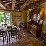 L'olmo Di Casigliano