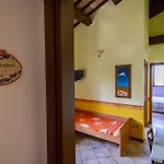 L'olmo Di Casigliano