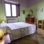 L'olmo Di Casigliano *