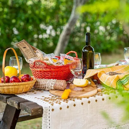 L'olmo Di Casigliano Farm stay Cessapalombo
