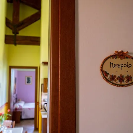 L'olmo Di Casigliano