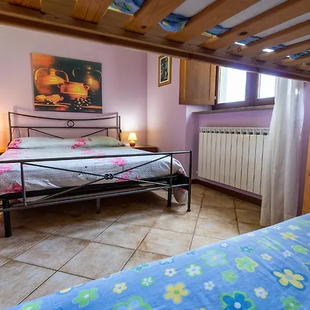 L'olmo Di Casigliano Cessapalombo