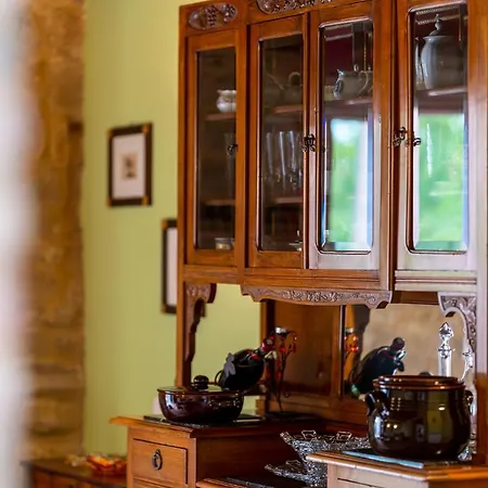 L'olmo Di Casigliano