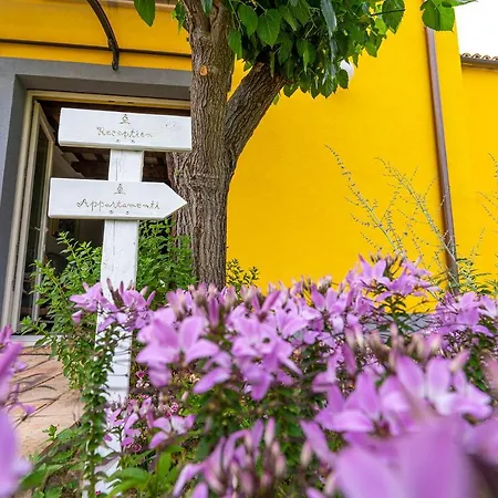 L'olmo Di Casigliano * Cessapalombo