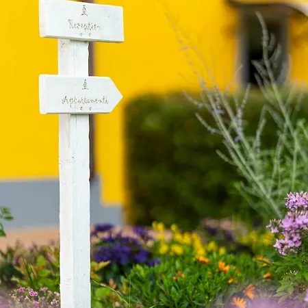 L'olmo Di Casigliano