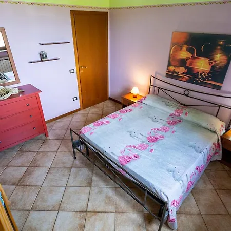 L'olmo Di Casigliano *