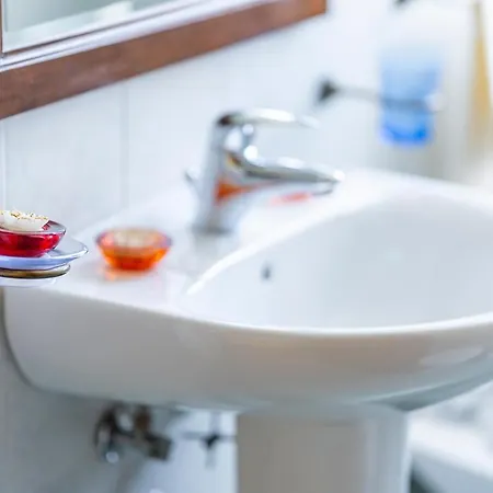 L'olmo Di Casigliano Cessapalombo