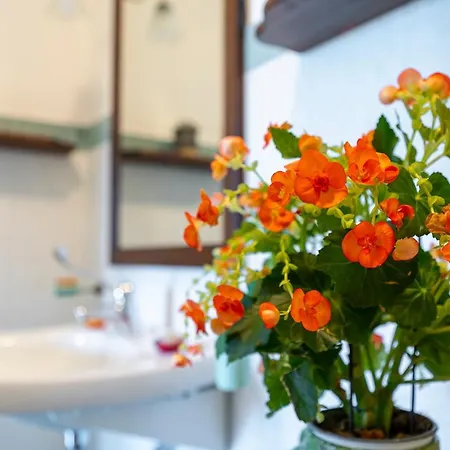 Alojamento de Turismo Rural L'olmo Di Casigliano