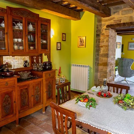 L'olmo Di Casigliano