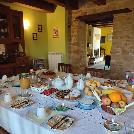 L'olmo Di Casigliano * Cessapalombo