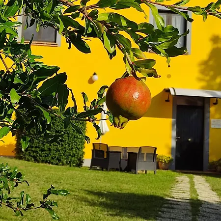 L'olmo Di Casigliano Lantgård Cessapalombo