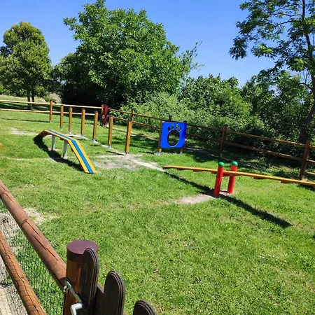 L'olmo Di Casigliano *