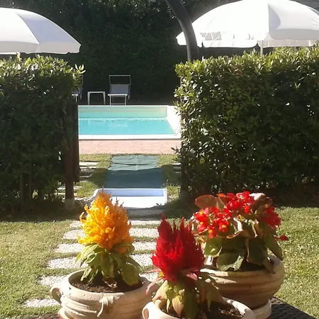 L'olmo Di Casigliano Cessapalombo