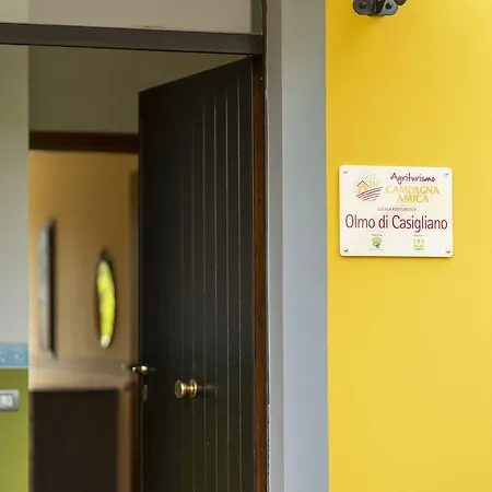 L'olmo Di Casigliano Cessapalombo