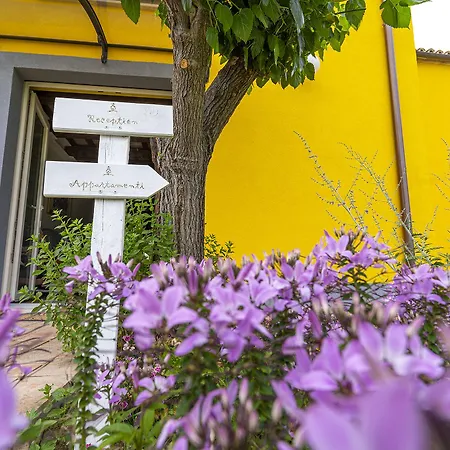 L'olmo Di Casigliano Cessapalombo