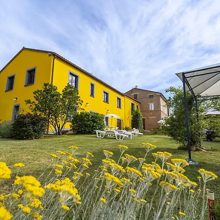 L'olmo Di Casigliano *