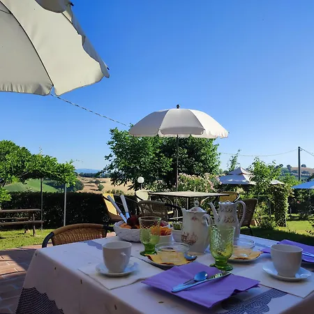 L'olmo Di Casigliano Cessapalombo