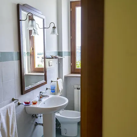 L'olmo Di Casigliano Cessapalombo