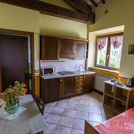 L'olmo Di Casigliano Cessapalombo