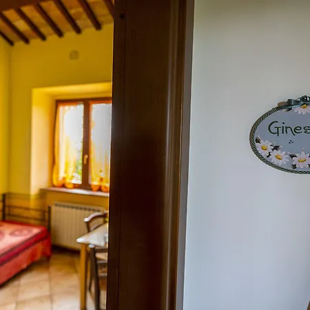 L'olmo Di Casigliano *