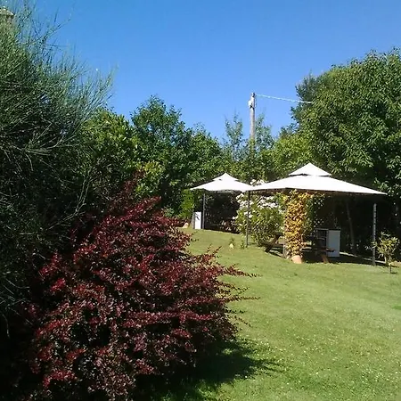 Alojamento de Turismo Rural L'olmo Di Casigliano *