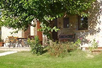 L'olmo Di Casigliano *