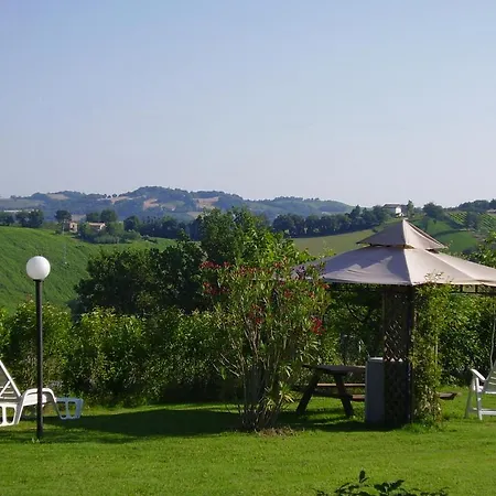 L'olmo Di Casigliano