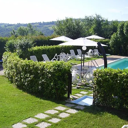 L'olmo Di Casigliano *